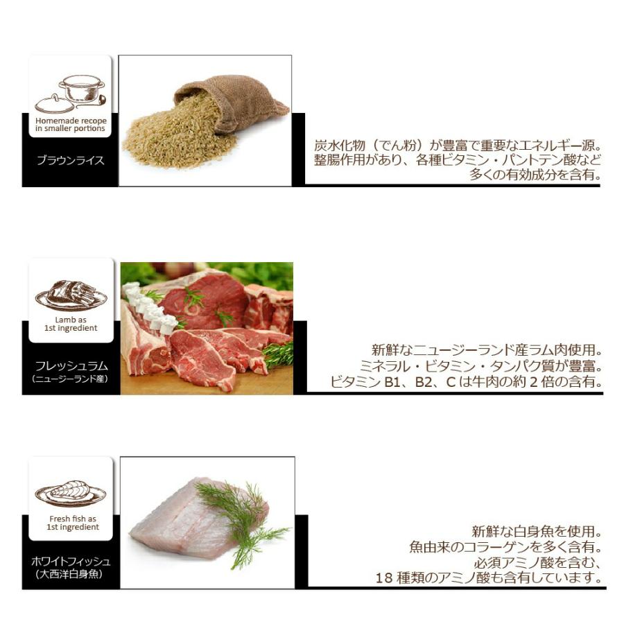 倍々+5倍！最大ポイント26倍！本日限定！オーブンベイクド トラディション ドッグフード フィッシュ 大粒 5.6kgの画像