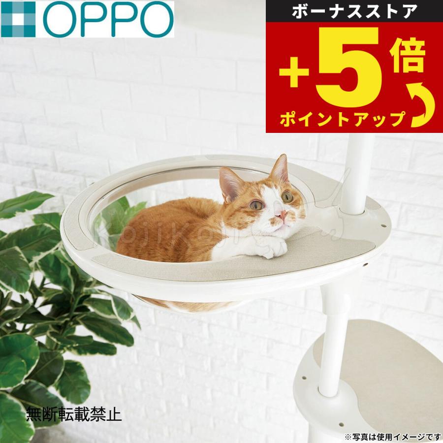 倍々+5倍！最大ポイント26倍！本日限定！OPPO オッポ キャット