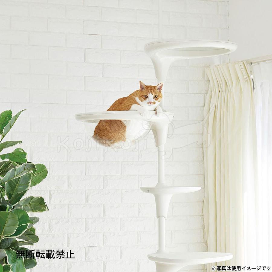 倍々+5倍！最大ポイント26倍！本日限定！OPPO オッポ キャット