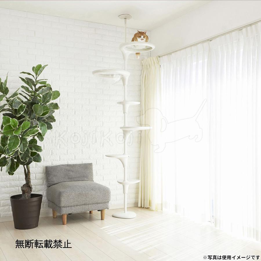 倍々+5倍！最大ポイント26倍！本日限定！OPPO オッポ キャット