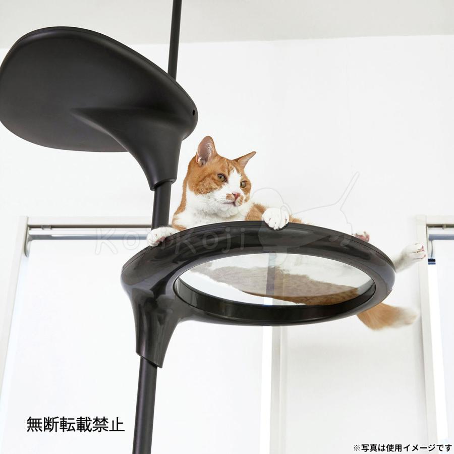 倍々+5倍！最大ポイント26倍！本日限定！OPPO オッポ キャット