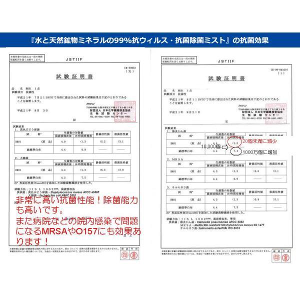 倍々+5倍！最大ポイント30倍！本日限定！パシュート オブ ラブ 水と天然鉱物ミネラルの99%坑ウィルス 抗菌除菌ミスト 詰替え 500ml |  | 09