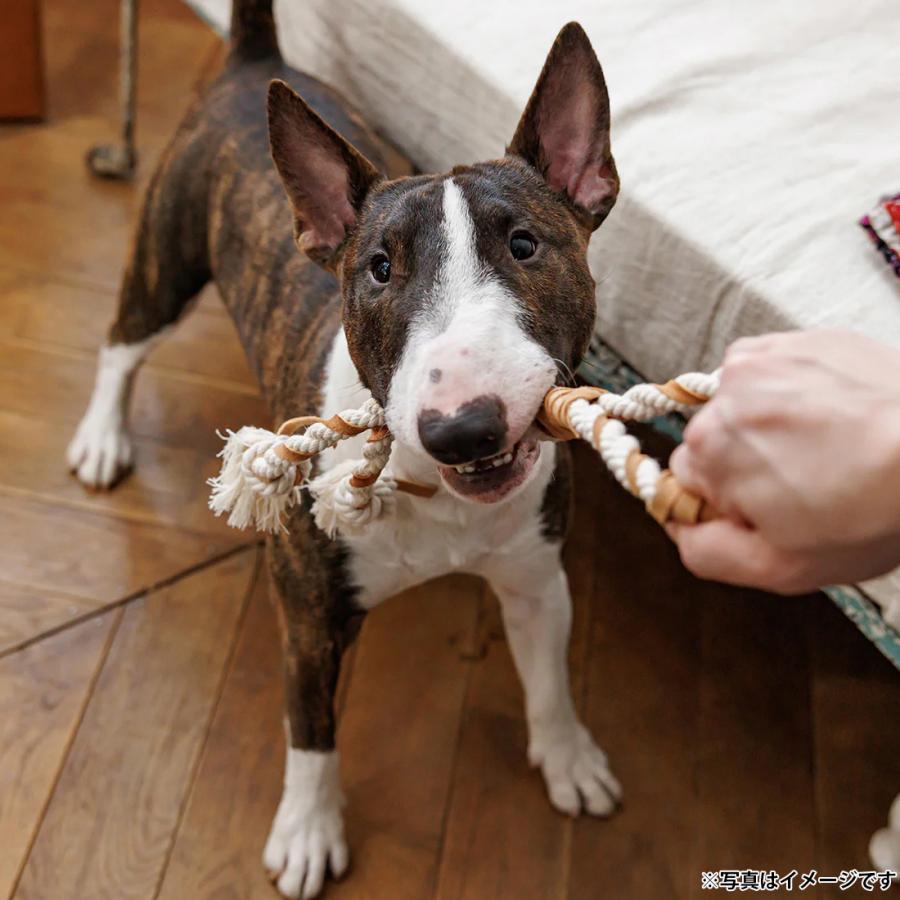 ファッド ダッドウェイ レザー＆コットントイ ダブルタグ 犬用おもちゃ ドッグトイ ペットトイ 噛む |  | 01