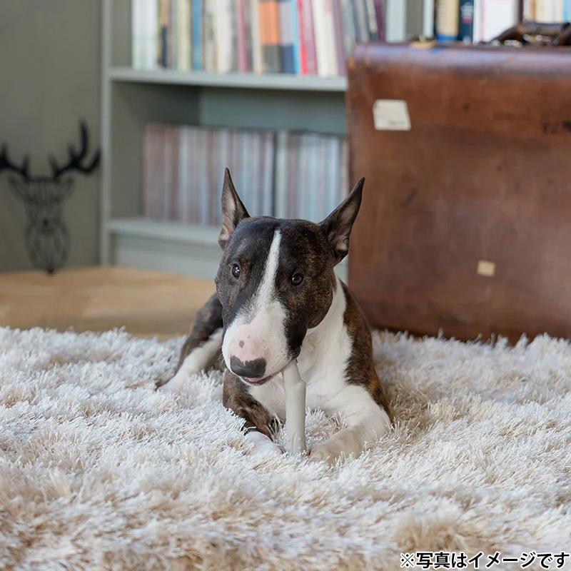 ファッド ダッドウェイ デンタルトイ ディアーホーン 犬用おもちゃ ドッグトイ ペットトイ M 噛む |  | 01
