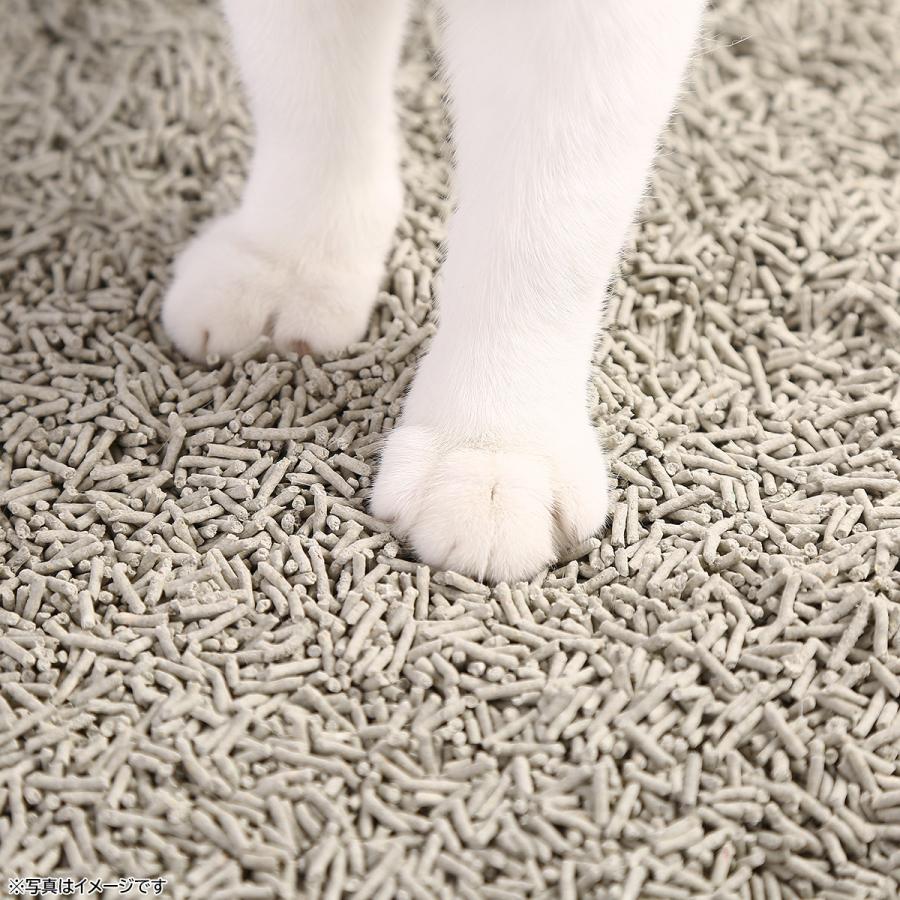 倍々+5倍！最大ポイント26倍！本日限定！FAD ファッド 猫砂 トウフカーボンリター 6L×6袋 おから 流せる 固まる キャットリッターの画像