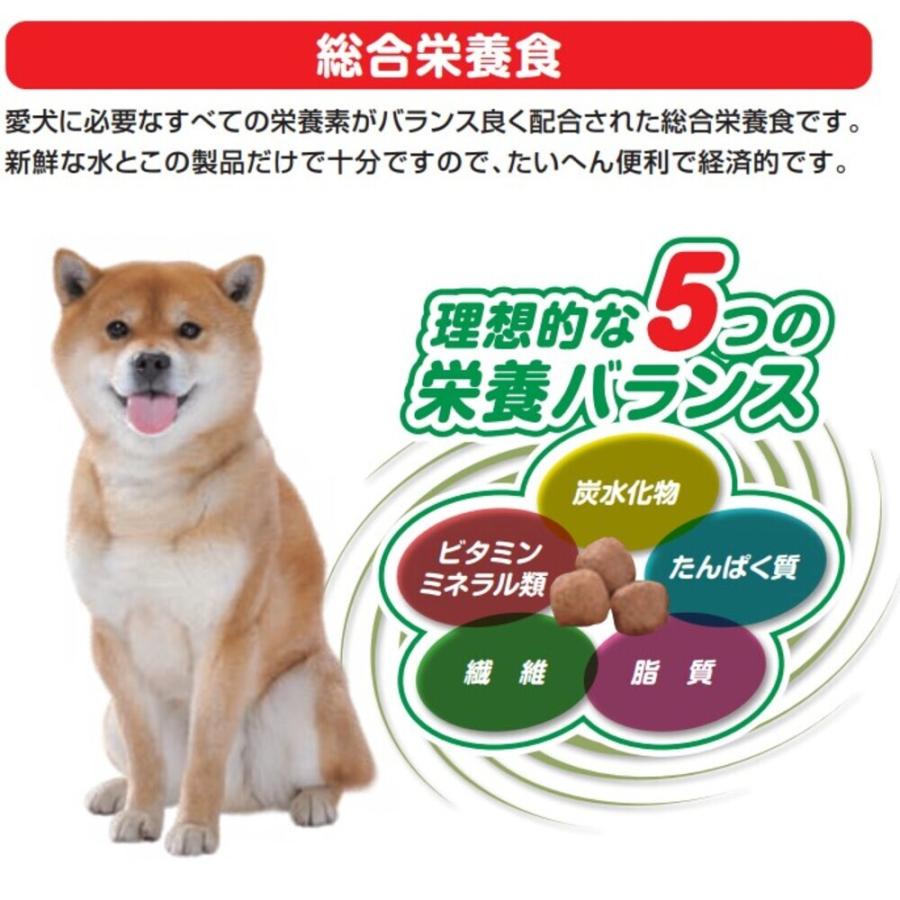 マイビット 倍々+5倍！最大ポイント26倍！本日限定！ペットライン