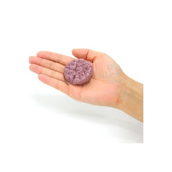 ナチュラルハーベスト パフクラッカー 紫いも 50g 無添加 |  | 02