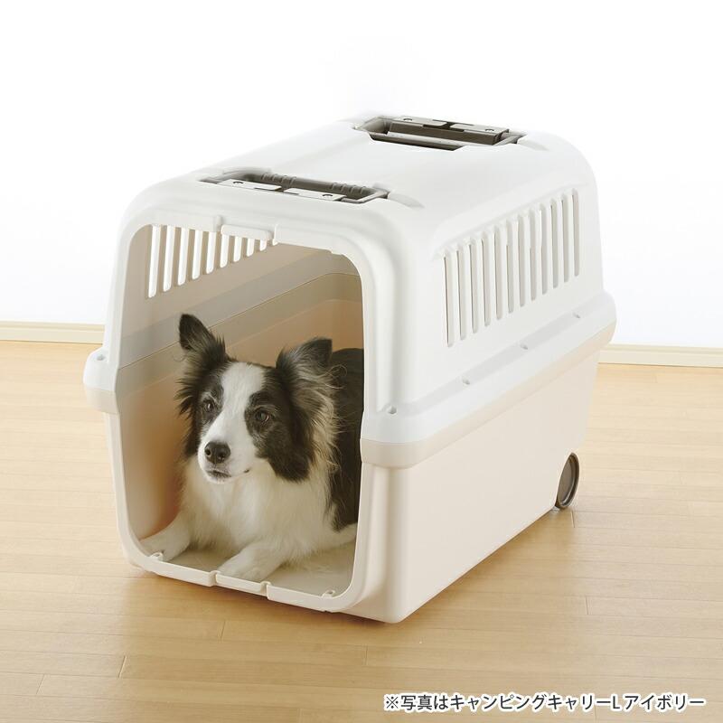 リッチェル（Richell） 倍々+5倍！最大ポイント26倍！本日限定