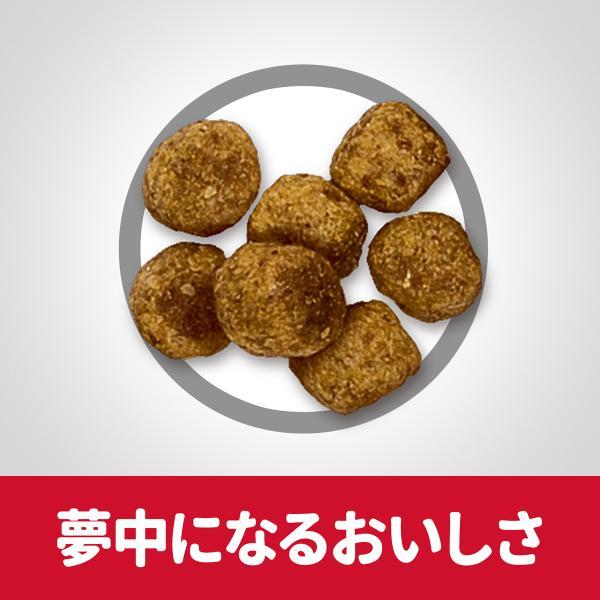 サイエンス ダイエット アダルト ライト 小粒 肥満傾向の成犬用 1〜6歳 チキン 6.5kg ドッグフード | サイエンス・ダイエット | 04