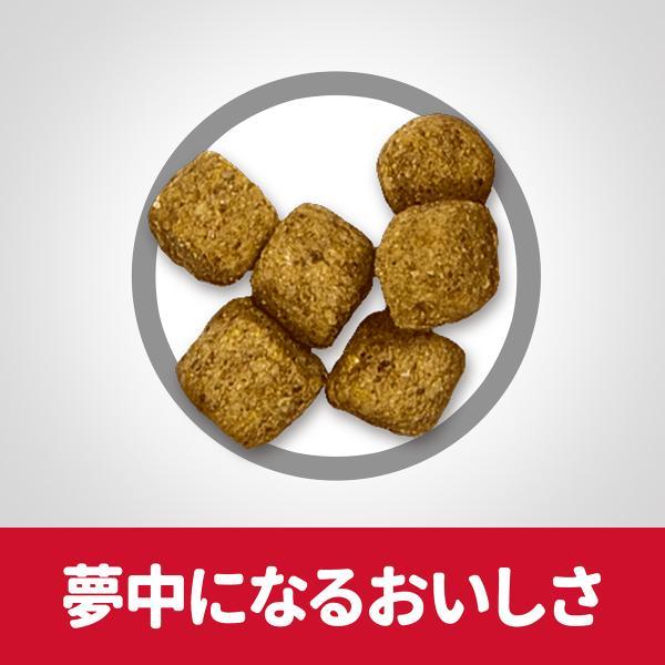 倍々+5倍！最大ポイント30倍！5月25日！サイエンス ダイエット シニア ライト 小粒 肥満傾向の高齢犬用 7歳以上 チキン 6.5kg ドッグフード | サイエンス・ダイエット | 04