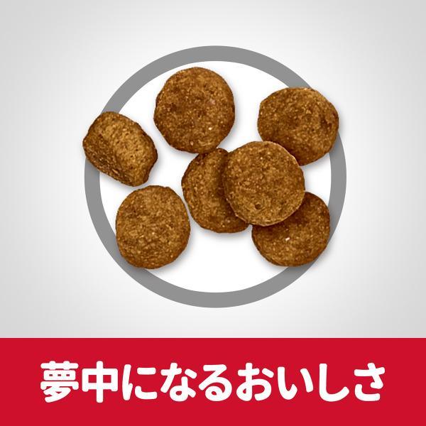 サイエンス ダイエット シニア 小粒 高齢犬用 7歳以上 チキン 1.4kg ヒルズ ドッグフード ドライフード | サイエンス・ダイエット | 04