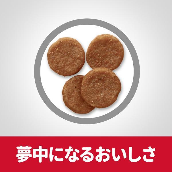 サイエンス ダイエット 減量サポート 中粒 中型犬用 1歳以上の成犬 高齢犬 チキン 5kg ドッグフード | サイエンス・ダイエット | 04