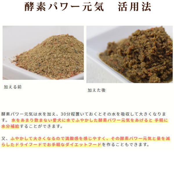 帝塚山ハウンドカム 犬猫用 発酵野菜パウダー 酵素パワー元気健康プラス 500g｜neeldog｜16