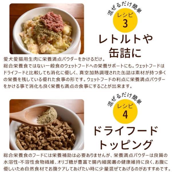 帝塚山ハウンドカム 犬用猫用 栄養補助食 栄養満点パウダー 100g｜neeldog｜13