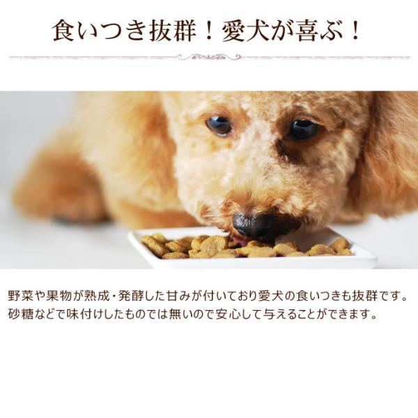 帝塚山ハウンドカム 犬用猫用 栄養補助食 栄養満点パウダー 500g｜neeldog｜15