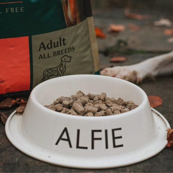 トライバル コールドプレス ドッグフード フレッシュサーモン 12kg 無添加 犬 穀物不使用 グレインフリー トライバル コールドプレス ドッグフード フレッシュサーモン