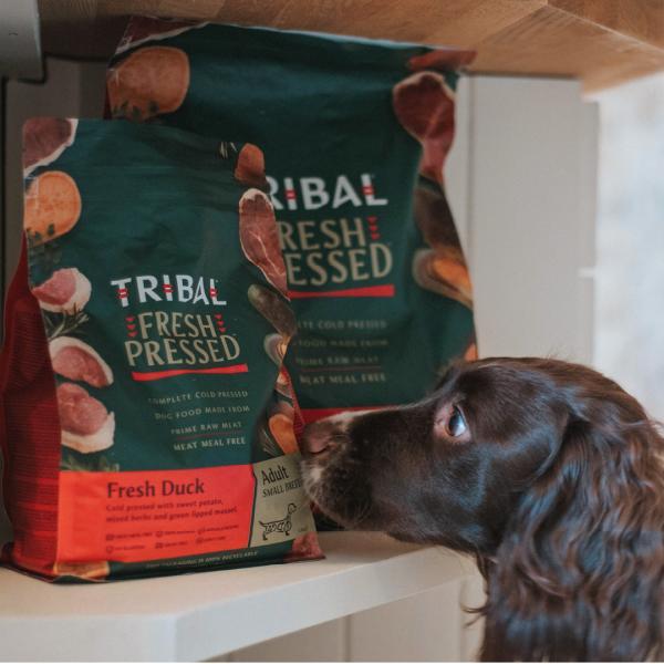トライバル コールドプレス ドッグフード フレッシュダック スリム 1.5kg 無添加 犬 穀物不使用 グレインフリー |  | 02