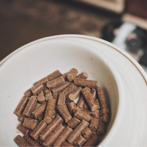 トライバル コールドプレス製法ドッグフード フレッシュチキン 400g 無添加 犬 穀物不使用 グレインフリー |  | 02