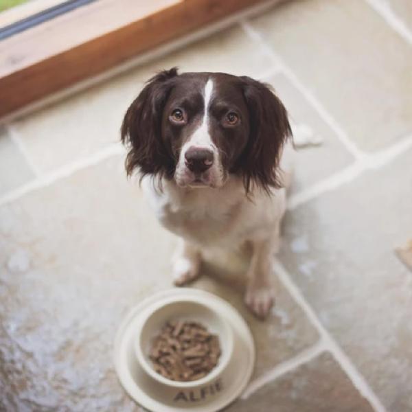 倍々+5倍！最大ポイント26倍！本日限定！トライバル フレッシュチキン