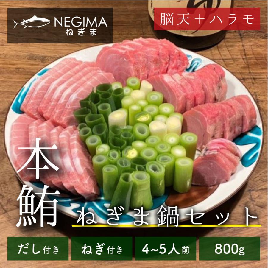 ねぎま鍋セット 4 5人前 鍋セット お取り寄せグルメ 鮪 まぐろ マグロ 脳天 ハラモ だしつゆ 江戸千住葱 ネギマ鍋 海鮮鍋 Negima Nabe02 ねぎま 通販 Yahoo ショッピング