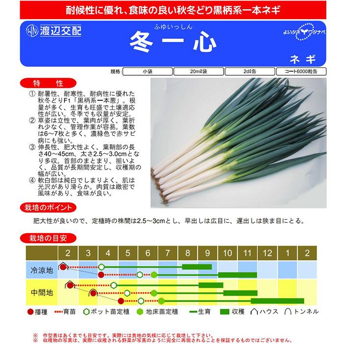 冬一心 2dl 渡辺農事 ネギ種 メーカー直送の画像