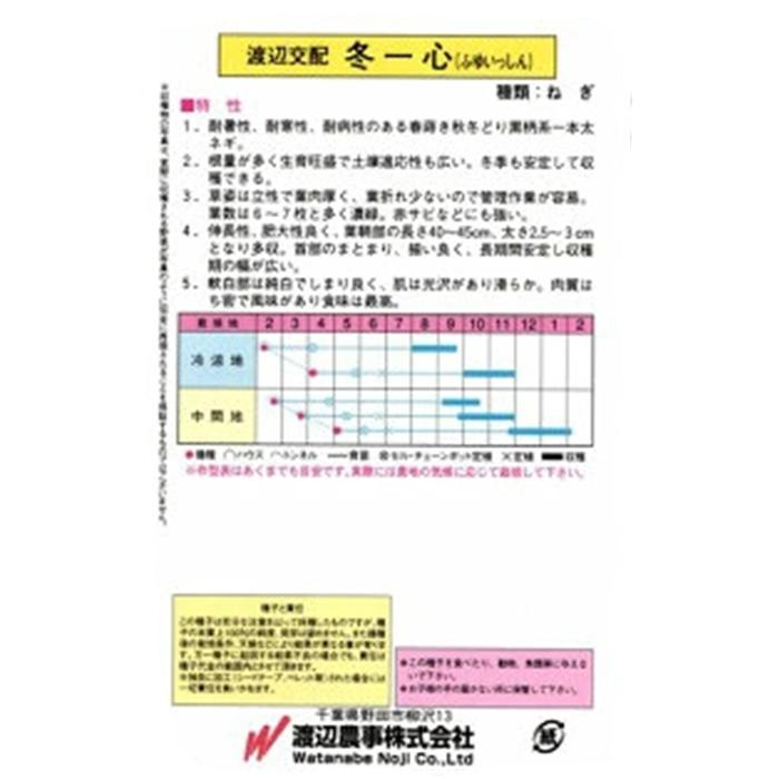 冬一心 2dl 渡辺農事 ネギ種 メーカー直送の画像