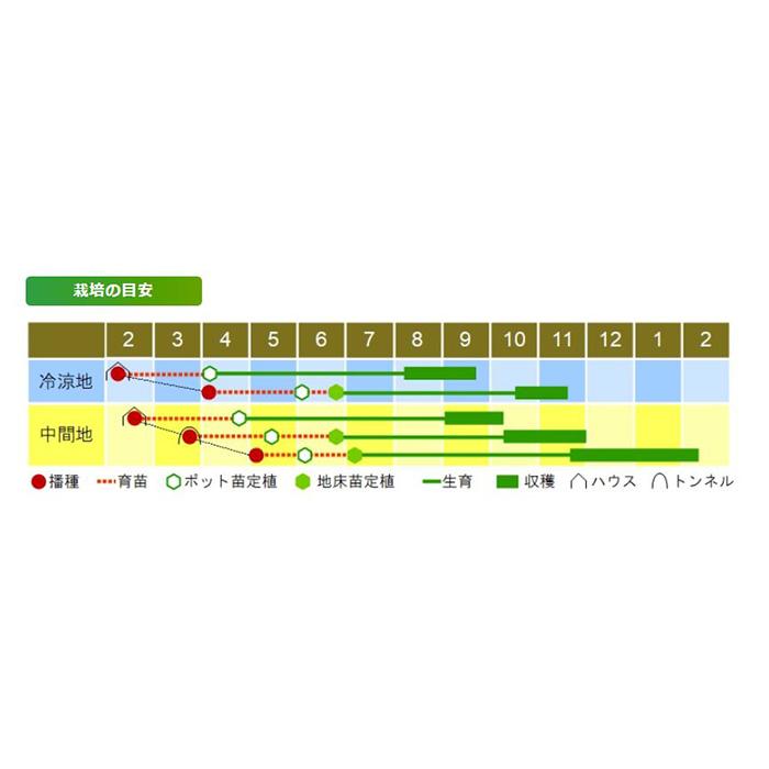 冬一心 2dl 渡辺農事 ネギ種 メーカー直送の画像