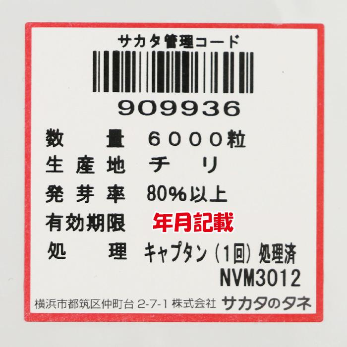 冬扇043(SK4-043) コート6000粒 サカタのタネ ネギ種 : ネギ参謀