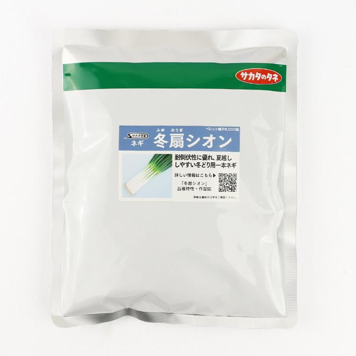 冬扇シオン コート6000粒 サカタのタネ ネギ種 メーカー直送 : ネギ