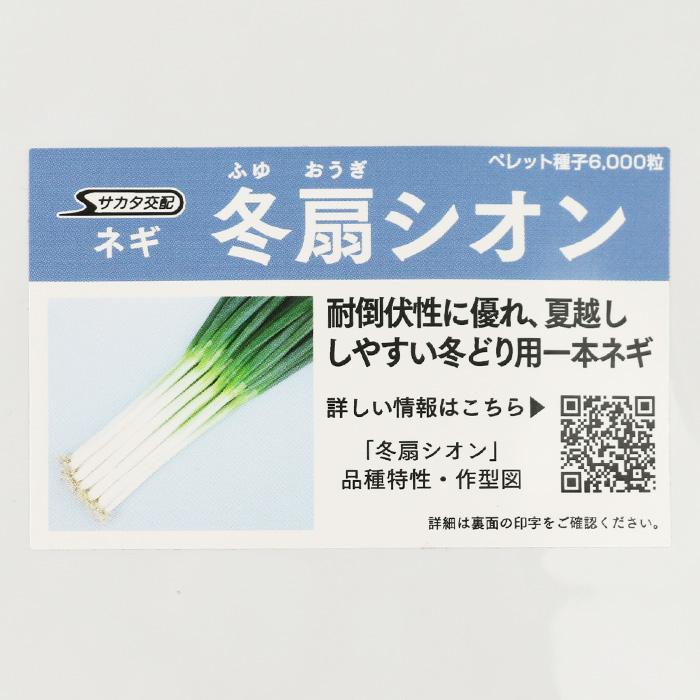 冬扇シオン コート6000粒 サカタのタネ ネギ種 メーカー直送 : ネギ