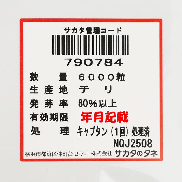 冬扇シオン コート6000粒 サカタのタネ ネギ種 メーカー直送 : ネギ