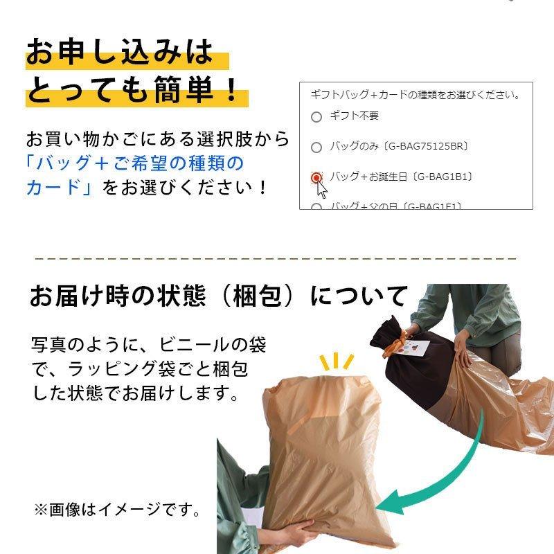 抱き枕 抱きまくら 肩こり 首こり 首が痛い 本体 MOGU 日本製 気持ちいい 本体＋専用カバー セット 極小ビーズ枕 横寝の画像