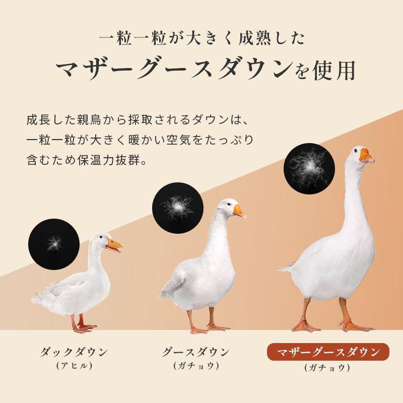 羽毛布団 シングル カナダ産 マザーグースダウン95％ 増量1.3kg 日本製 特殊2層式キルト 羽毛ふとん 京都羽毛 竹｜negokochiy｜14