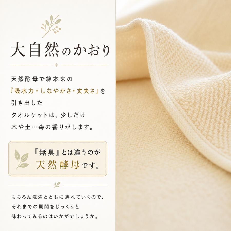 今治タオル（imabari towel） 今治 タオルケット シングル 綿100