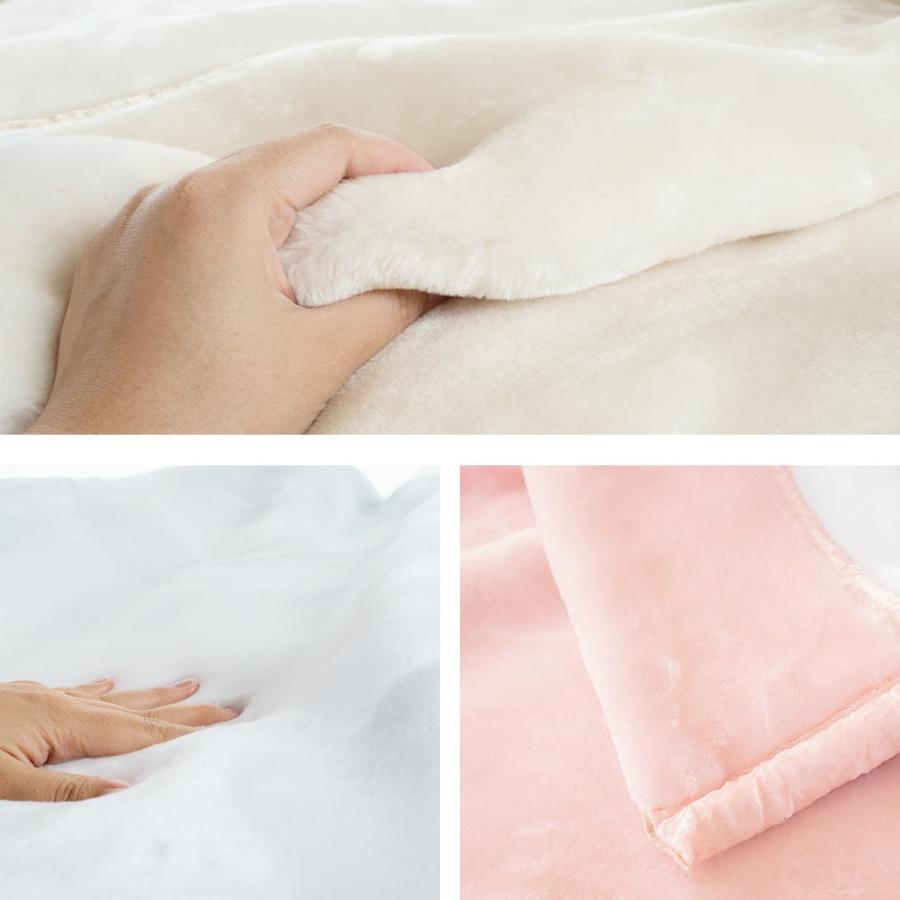 西川（nishikawa） 毛布 ダブル メガオーロラ 2枚合わせ ふっくら超