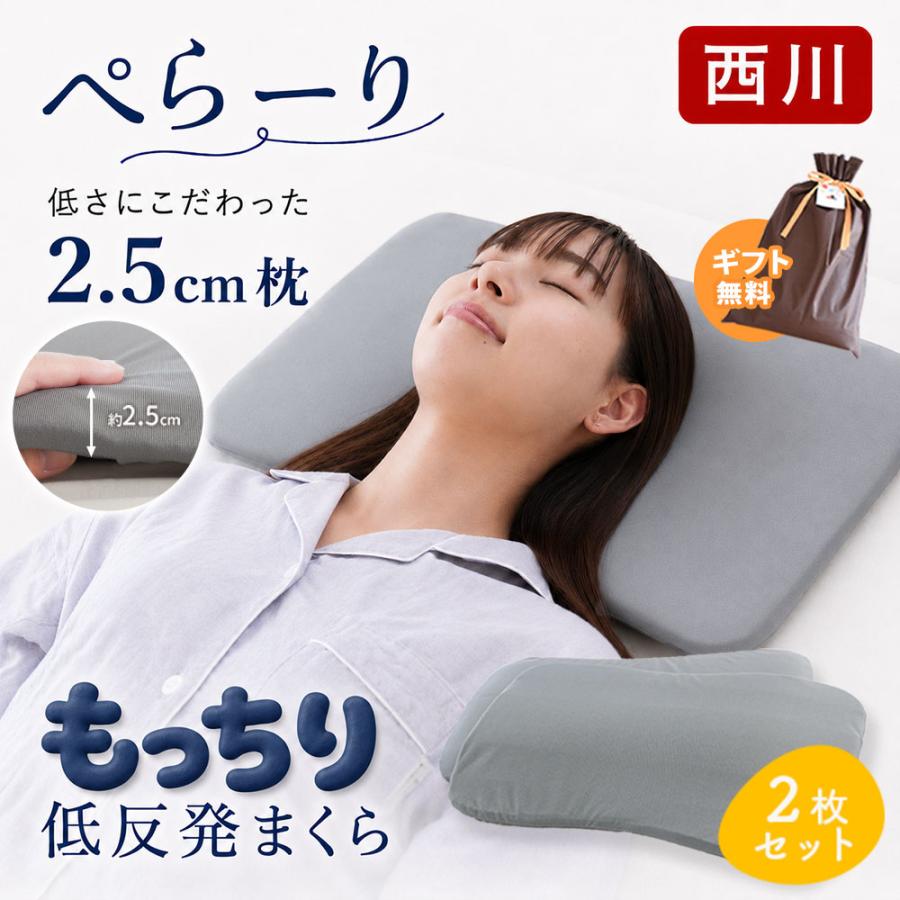 西川（nishikawa） 薄型 まくら ぺらーり 低い枕 2枚セット 50×30cm 高