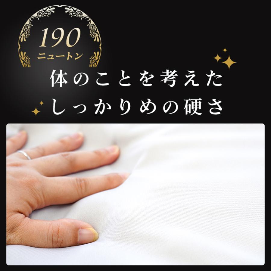 西川（nishikawa） 敷布団 マットレス ダブル 点で支える健康敷き