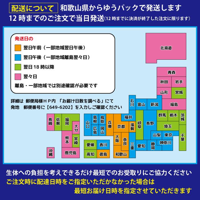 5匹＋補償1匹】TAKUMI 夢中めだか様直系 数量限定 最新品種 : 根来