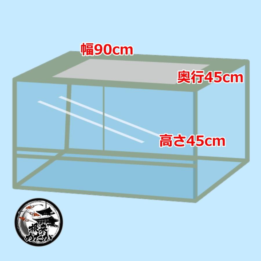 コトブキ工芸 アクアリスト900 （水槽本体のみ）【送料込】 : 根来 