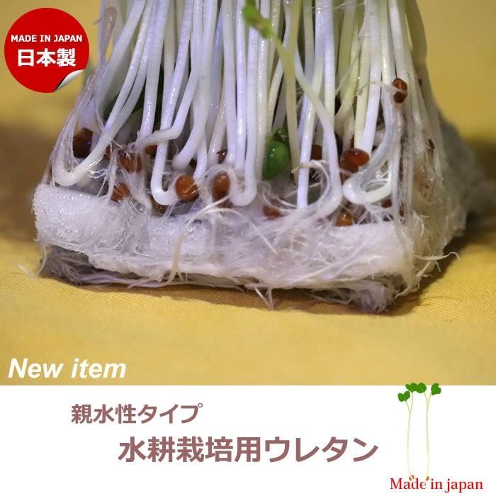 水耕栽培 水耕栽培用スポンジ 親水性ウレタン Sim 寝ごろ屋 通販 Yahoo ショッピング