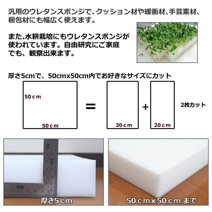 ウレタンスポンジ ウレタン 汎用ウレタン スクイーズ 5センチdiy用 F Sb5 寝ごろ屋 通販 Yahoo ショッピング