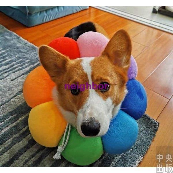 首輪 ペット用品 犬 猫 新作 エリザベスリング 噛みつく 舐めることを防止 お出掛け 可愛い おしゃれ 人気 ネームタグ 迷子札 サイズ S Www Ma Maison Algarve Com