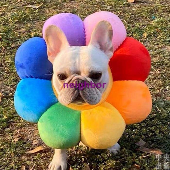 首輪 ペット用品 犬 猫 新作 エリザベスリング 噛みつく 舐めることを防止 お出掛け 可愛い おしゃれ 人気 ネームタグ 迷子札 サイズ S Www Ma Maison Algarve Com