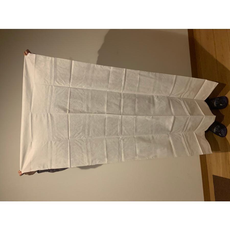 海水浴グッズ ペット用品 プールグッズ 海水浴便利グッズ 温泉 アウトドア 使い捨てバスタオル １０個セット レジャー用品 災害備蓄用 Unf 018 Neit株式会社生活環境market 通販 Yahoo ショッピング