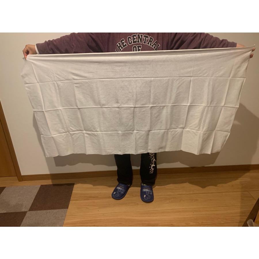 海水浴グッズ ペット用品 プールグッズ 海水浴便利グッズ 温泉 アウトドア 使い捨てバスタオル １０個セット レジャー用品 災害備蓄用 Unf 018 Neit株式会社生活環境market 通販 Yahoo ショッピング