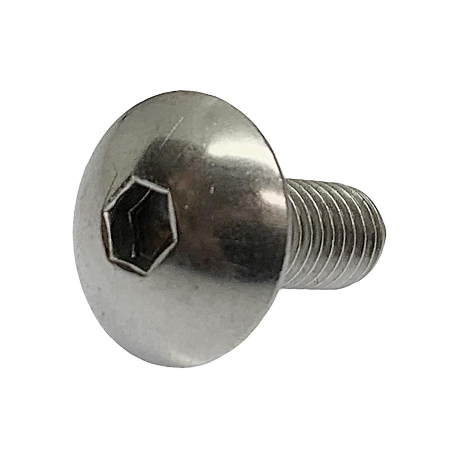 ステンレス 六角穴付 トラスキャップ ボルト M5 x 長さ12mm 2本入