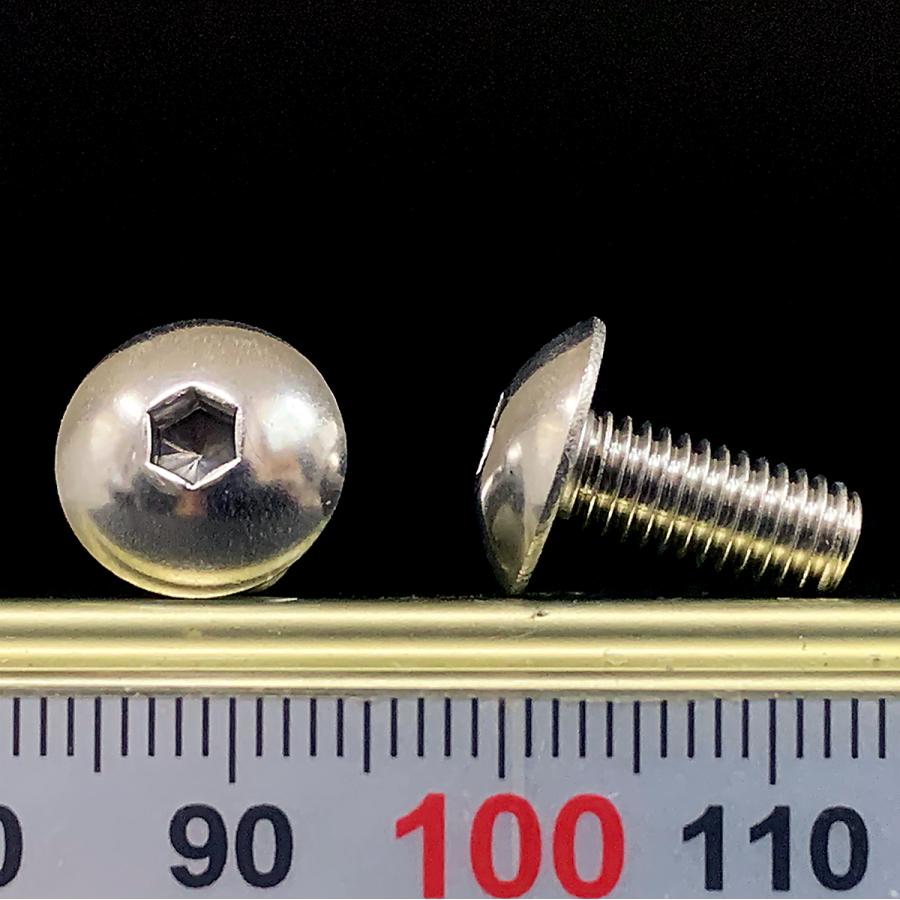 ステンレス 六角穴付 トラスキャップ ボルト M5 x 長さ12mm 2本入
