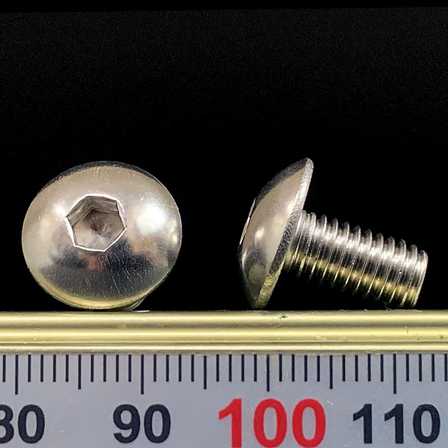 ステンレス 六角穴付 トラスキャップ ボルト M6 x 長さ10mm 2本入