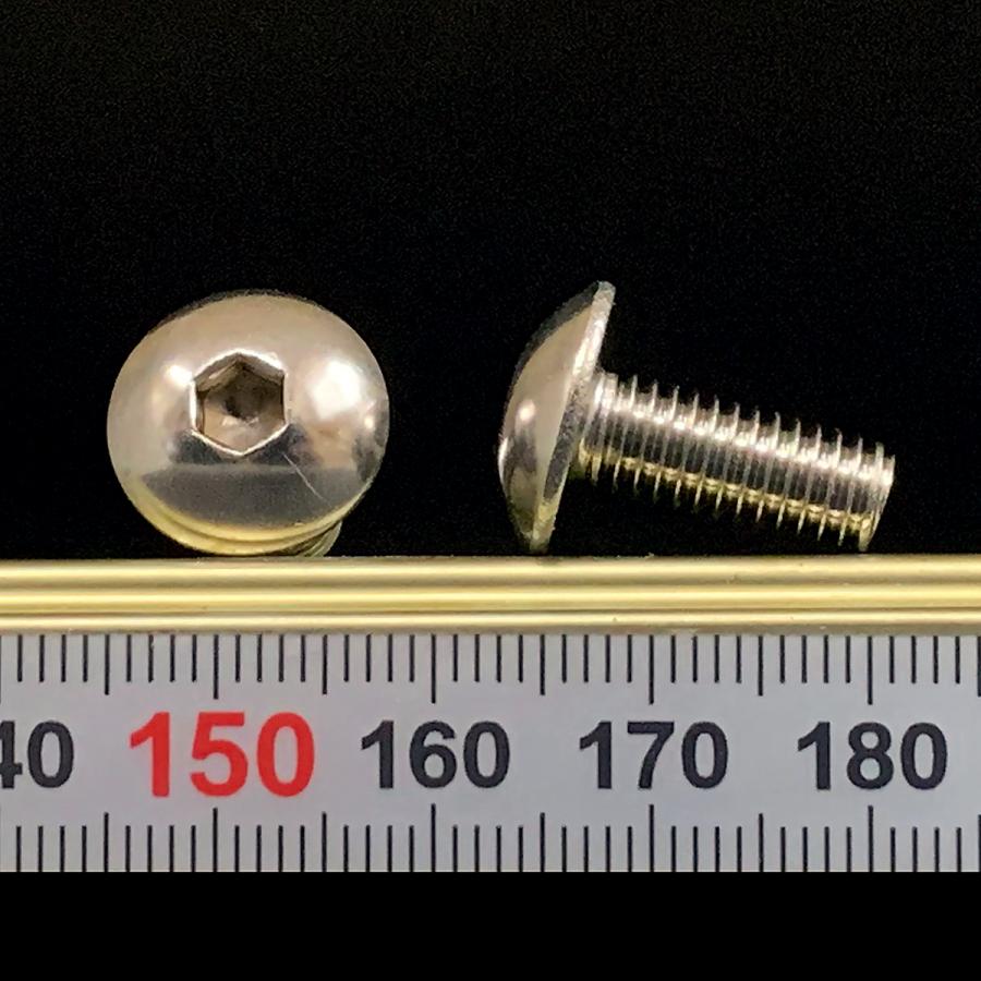 ステンレス 六角穴付 トラスキャップ ボルト M6 x 長さ15mm 2本入