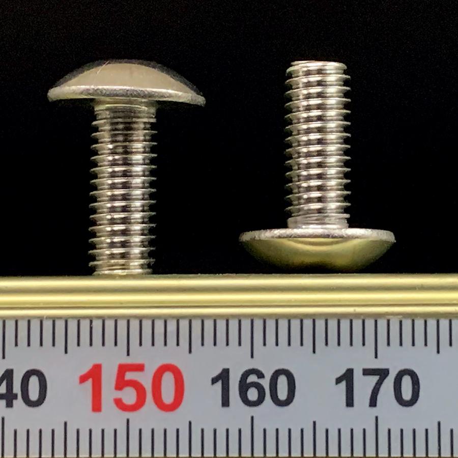 ステンレス 六角穴付 トラスキャップ ボルト M6 x 長さ15mm 2本入